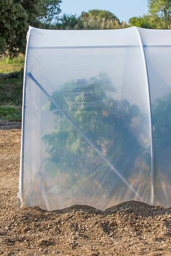 Brico Bijkomende aanbojouwlengte 450cm Richel polyethyleen grijs transparant staal 150cm aanbieding