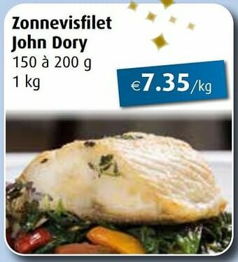 Zonnevisfilet john dory