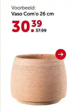 AVEVE Deroma Com'o buitenpotterie aanbieding