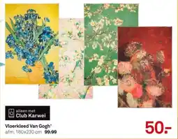 Karwei Vloerkleed Van Gogh aanbieding
