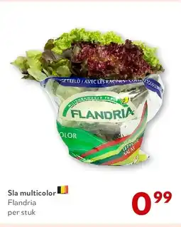 OKay Sla multicolor aanbieding