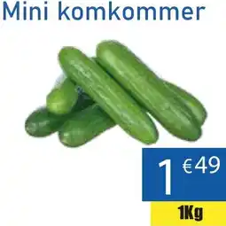 Tanger Markt Mini komkommer aanbieding