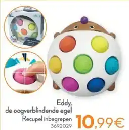 Cora Eddy, de oogverblindende egel aanbieding