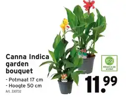 GAMMA Canna Indica garden bouquet aanbieding