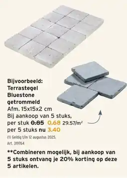 GAMMA Terrastegel Bluestone getrommeld aanbieding