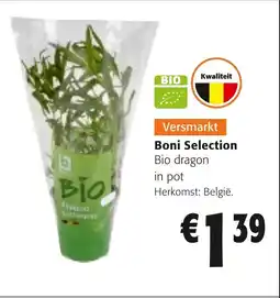 Colruyt Boni Selection Bio dragon in pot aanbieding