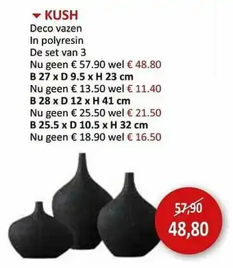 Weba Kush deco vazen in polyresin de set van 3 aanbieding