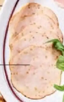 Alvo KIPFILET aanbieding
