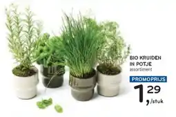 Alvo Bio kruiden in potje aanbieding