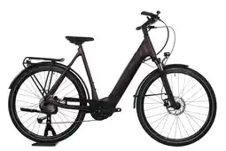 Decathlon Tweedehands - E-Bike - Giant Anytour - XL - GOED aanbieding