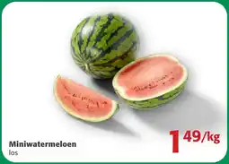 Comarkt Miniwatermeloen aanbieding