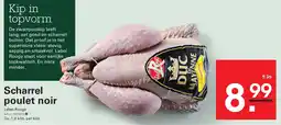 Scharrel poulet noir