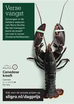 Sligro Canadese kreeft aanbieding