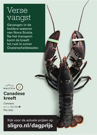 Sligro Canadese kreeft aanbieding