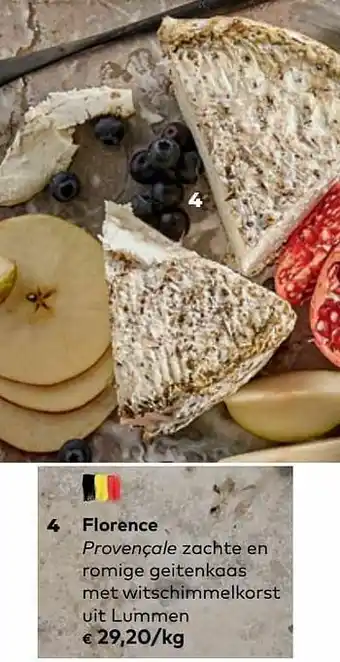 Florence provençale zachte en romige geitenkaas met witschimmelkorst uit lummen