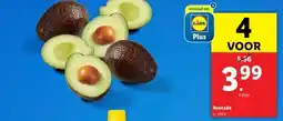 Lidl Avocado aanbieding