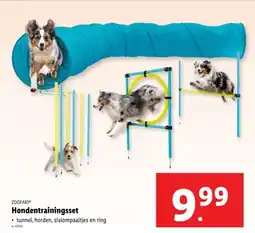 Lidl Zoofari Hondentrainingsset aanbieding