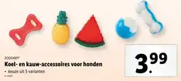 Lidl Zoofari Koel en kauw-accessoires voor honden aanbieding
