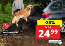 Lidl Zoofari Hondenloopplank aanbieding