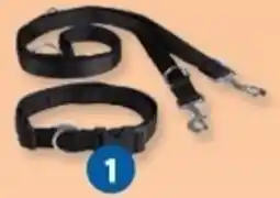 Lidl Zoofari jogginglijn aanbieding