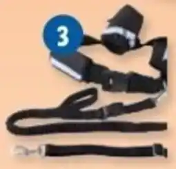 Lidl Zoofari halsband met hondenlijn aanbieding