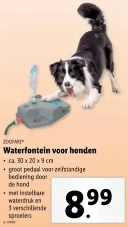 Lidl Zoofari Waterfontein voor honden aanbieding