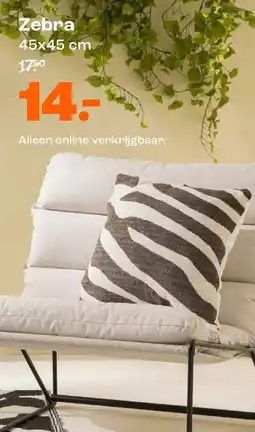Kwantum Zebra aanbieding