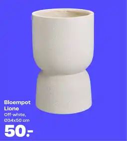 Kwantum Bloempot Lione aanbieding