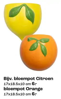 Kwantum Bloempot Citroen en Orange aanbieding