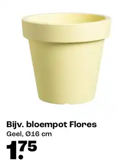 Kwantum Bloempot Flores aanbieding