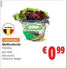 Colruyt Multicolorsla Flandria aanbieding