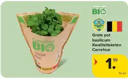 Carrefour Grote pot basilicum Kwaliteitsketen Carrefour aanbieding