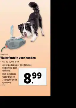 Lidl Waterfontein voor honden aanbieding