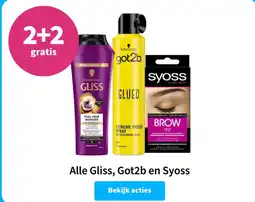 Alle Gliss, Got2b en Syoss