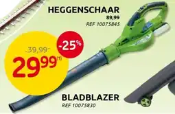 Brico Bladblazer aanbieding