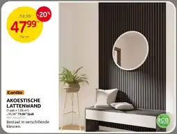 Brico CanDo Akoestische Lattenwand aanbieding