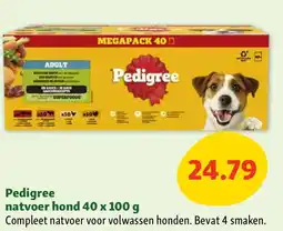 Maxi Zoo Pedigree natvoer hond 40 x 100 g aanbieding