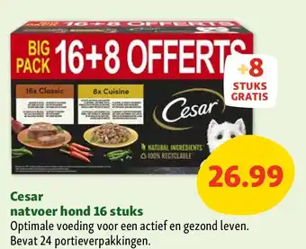 Maxi Zoo Cesar natvoer hond 16 stuks aanbieding