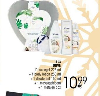Cora Box Dove aanbieding