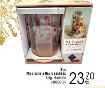 Cora Box Ma cloche a fleurs sechees aanbieding