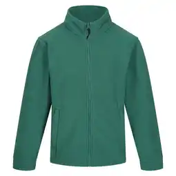 Decathlon Regatta Heren Thor 300 Full Zip Fleece Vest (Groen) aanbieding