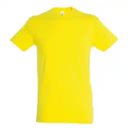 Decathlon Unisex Regent Tshirt voor volwassenen (Citroen) aanbieding