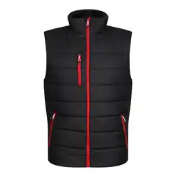 Decathlon Thermische bodywarmer voor heren (Zwart/Klassiek Rood) aanbieding