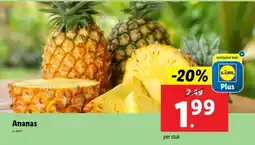 Lidl Ananas aanbieding