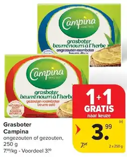 Carrefour Grasboter Campina aanbieding