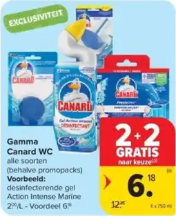 Carrefour Gamma Canard WC aanbieding