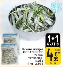 Cora Koornaarvisjes ocean pride aanbieding