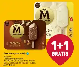 Delhaize Roomijs op een stokje aanbieding