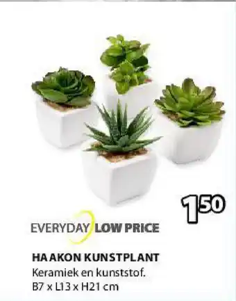 Haakon Kunstplant
