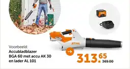 AVEVE Accubladblazer BGA 60 met accu AK 30 en lader AL 101 aanbieding
